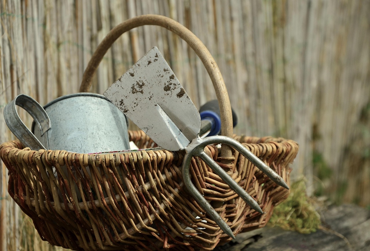 garden, nature, gardening, hoe, garden tools, sow, plants, still life, outdoors, basket, seeds