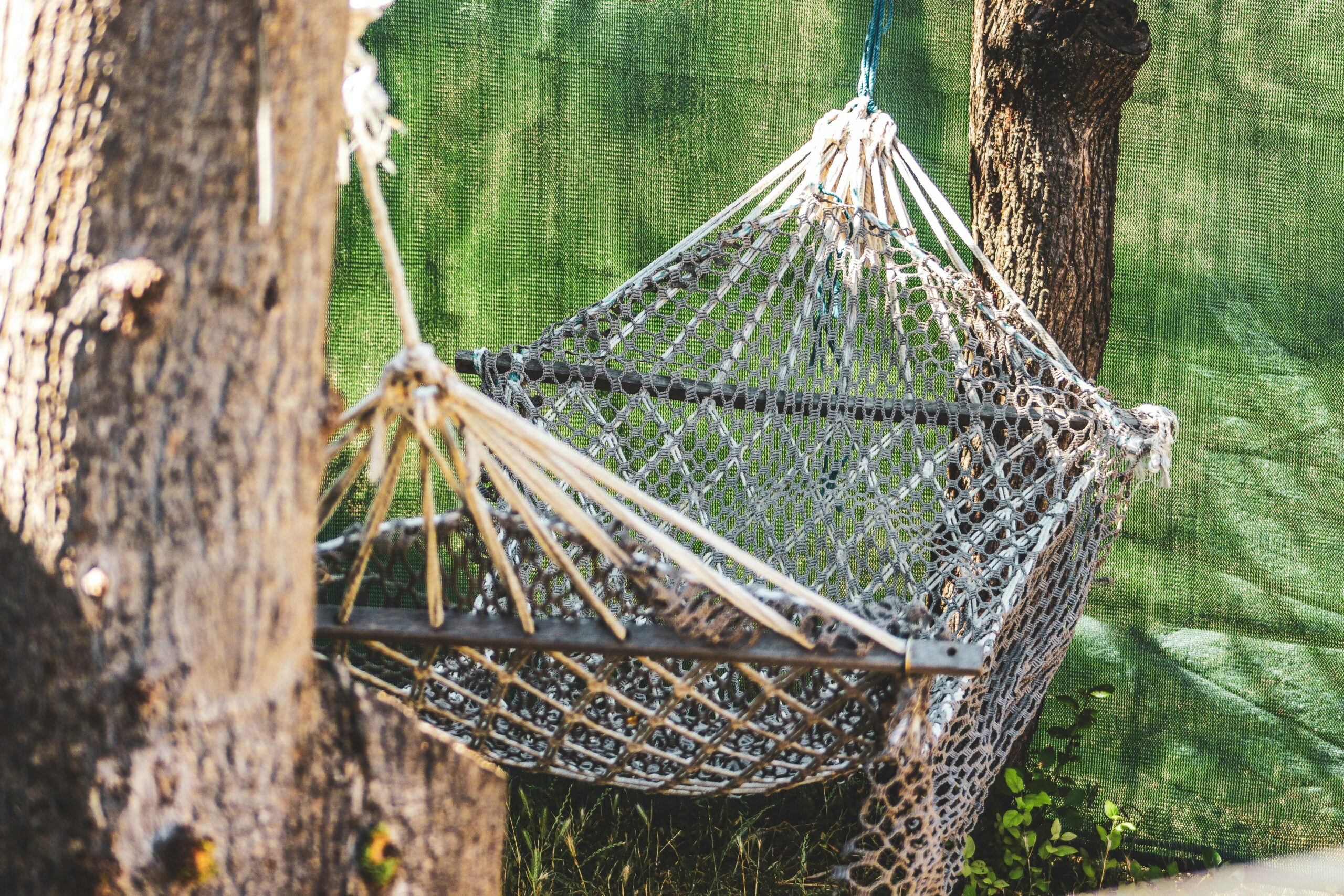 Relaxing hammock strung between trees in a sunny outdoor setting, perfect for leisure and tranquility.
